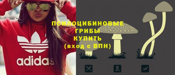 дурь Лагань