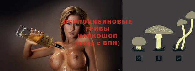 скорость Липки