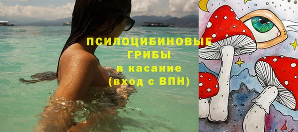 трава Ладушкин